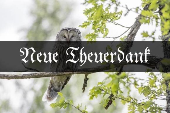 Neue Theuerdank: A Bold Gothic Font for Designers